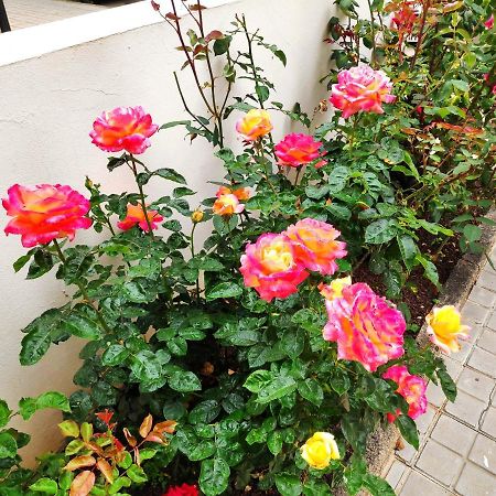 شقة La Orquidea فيغا دي سان ماتيو المظهر الخارجي الصورة